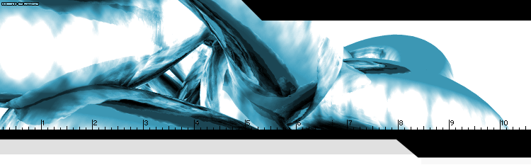 Page banner